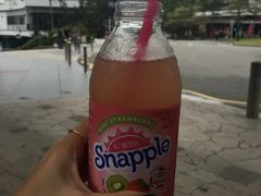 -圣淘沙天际线斜坡滑车