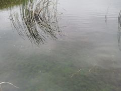 -苏州太湖湖滨国家湿地公园
