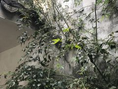 -小雅青年旅舍(平江路店)