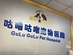 -咕噜咕噜宠物医院·CT·肿瘤科·骨科(前海院)