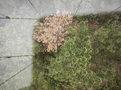 -盈香心动乐园