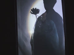 -叁拾壹丨浮世绘x壹拾叁沉浸演绎剧场