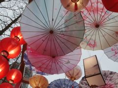 -则平律师服务团队·婚姻家事·法律服务