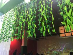 -恐龙探索乐园(磁器口店)