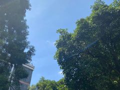 -重庆抗战遗址博物馆