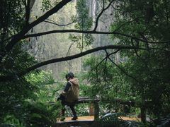 -滴水岩森林公园