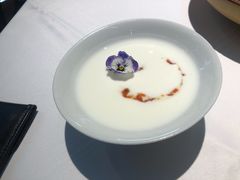 桂花酸奶-鑫悦诚府·新鲁菜·餐厅(趵突泉店)