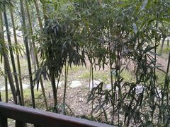 -观唐（国际）度假村温泉