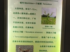 -上海昆虫博物馆