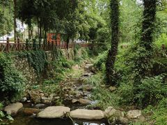 -素山寺森林公园
