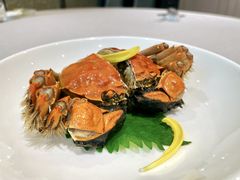 -新光酒家方亮蟹宴(黄浦店)