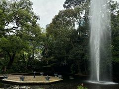 -九龙公园