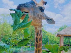 -石家庄市动物园