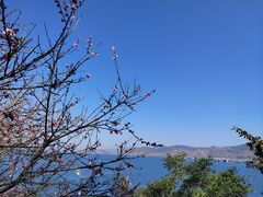 -南诏风情岛