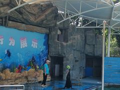 -合肥野生动物园