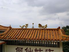 -风云岭森林公园