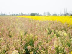 -中国天府农业博览园