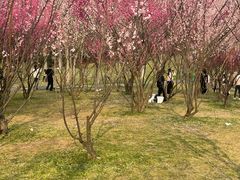 -蜀冈西峰生态公园