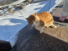 -横道河子东北虎林园