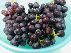 -马陆小张葡萄园农家乐