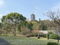 -宜兴龙背山森林公园