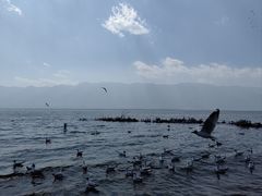 -大理洱海