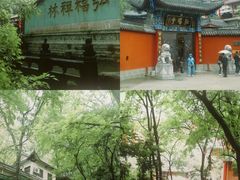 -黔灵山公园