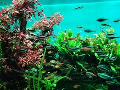 -太平洋海底世界