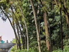 -深圳国际园林花卉博览园