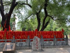 -大槐树寻根祭祖园