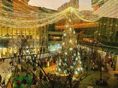 景观位-食廬(浦东嘉里城店)