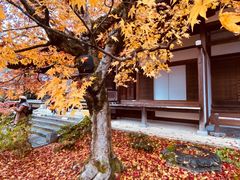 -常寂光寺