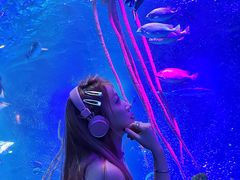 -沈阳海洋探索中心