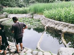 -成都市活水公园