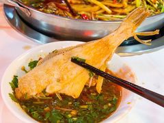 仔姜耗儿鱼-川道拐耗儿鱼(置信路店)