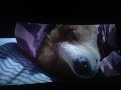 -万达IMAX影城(盘锦万达广场店)