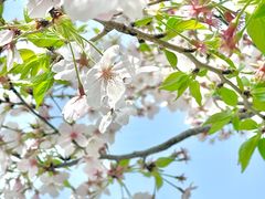 -玄武湖景区-情侣园游乐场