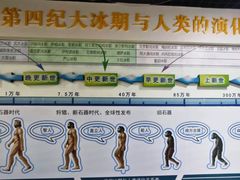 -中国第四纪冰川遗迹陈列馆