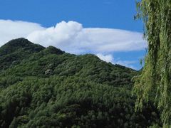 -玉渡山自然风景区