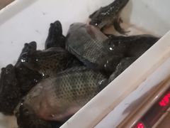 -烧哥美蛙肥肠鱼火锅·十五年社区店