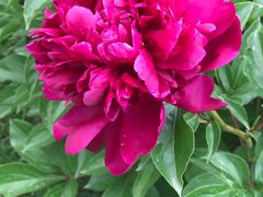 -长春公园(普阳街道)