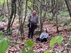 -灵山