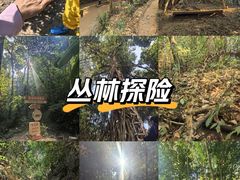 -西双版纳基诺山寨
