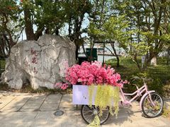 -金鸡湖桃花岛