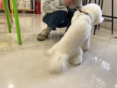 -佳雯宠物医院(四明中路分院)