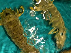 -学府海鲜批发市场