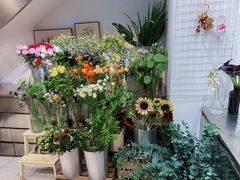 -植物学家的女儿(北马道巷店)