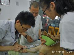 -成都民大动物医院