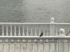 -上海当代艺术博物馆