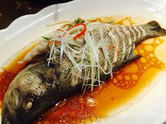 -胡桃里乐队酒馆(鎏嘉码头店)